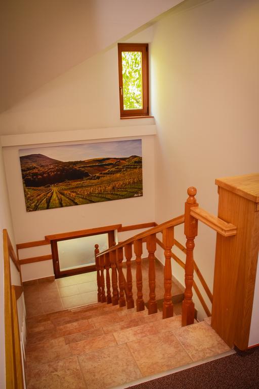 Diofa Panzio Bed & Breakfast Villany Exterior photo