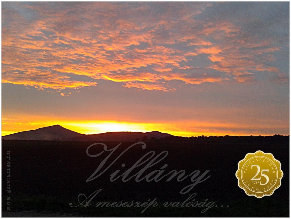 Diofa Panzio Bed & Breakfast Villany Exterior photo